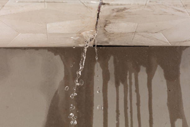 Professional Water Extraction technician working in Fairview, NJ